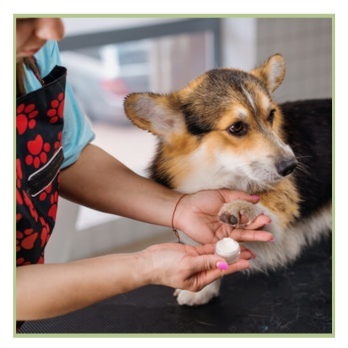 Ķermeņa kopšanas līdzekļi