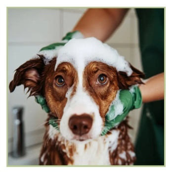 Ādas un spalvas kopšanai