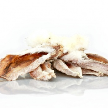 Trušu ausis ar spalvu