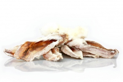 Trušu ausis ar spalvu