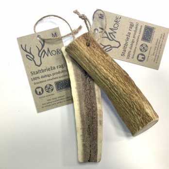 More dabīgi briežu ragi M