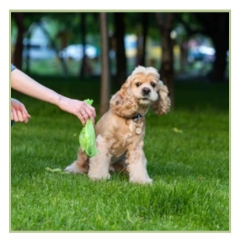 Maisiņi suņu izkārnījumiem