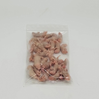 4Reptiles Peļu mazuļi XXL 3-4g/25gb