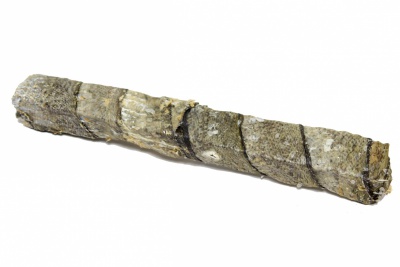 Dogs like fish - Mencas ādas lielais stienītis 70g