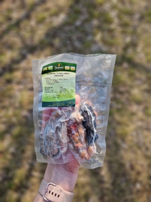 Z/S Sidrabjērs Truša pēdas 4gb