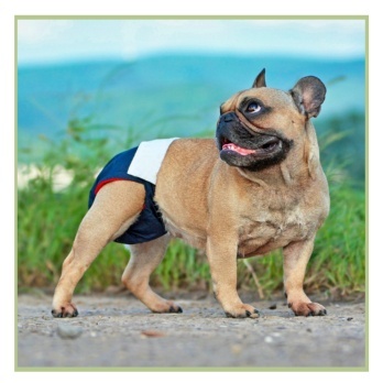 Suņu autiņbiksītes