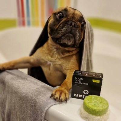 Pawtastic Mitrinošs un barojošs cietais šampūns suņiem ar citronzāles eļļu