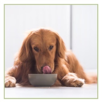 Gremošanas sistēmai