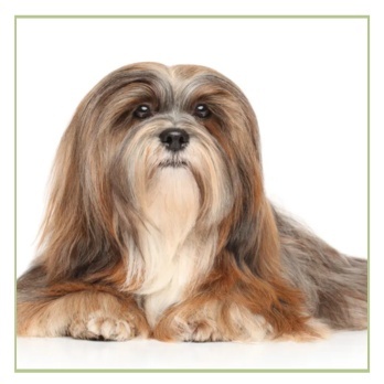 Apmatojumam un ādai