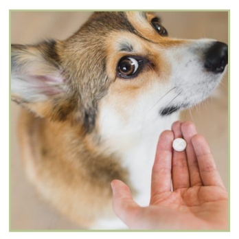 Vitamīni un uztura bagātinātāji