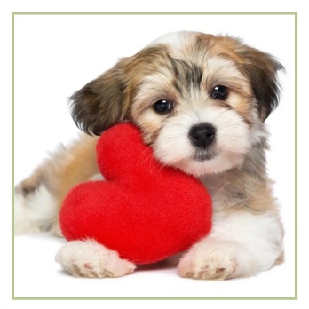 Sirds un asinsrites sistēmai