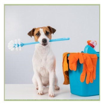 Uzkopšanas līdzekļi