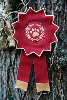 Aurora Paws Everyone's a Winner Rosette Eco Dog Toy