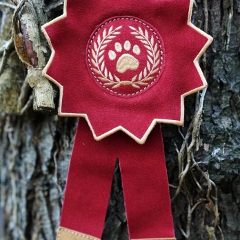 Aurora Paws Everyone's a Winner Rosette Eco Dog Toy