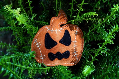 Aurora Paws Jack the Lad Lantern Pumpkin Small Breed Eco Dog Toy