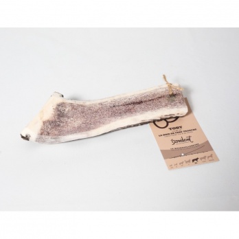 TOBY Brieža rags XL