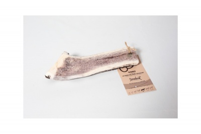 TOBY Brieža rags XL