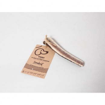 TOBY Brieža rags XS