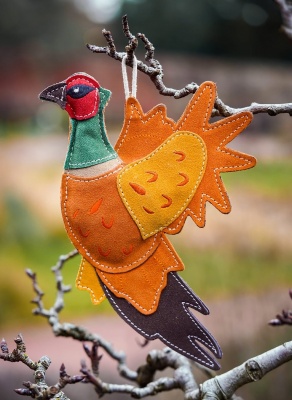 Aurora Paws Bracken the Pheasant