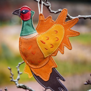 Aurora Paws Bracken the Pheasant