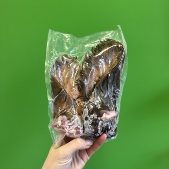 Z/S Sidrabjērs Jēra auss ar spalvu