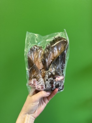 Z/S Sidrabjērs Jēra auss ar spalvu